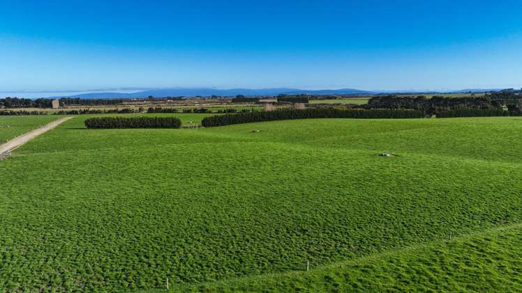 91 King Road Waianiwa_18