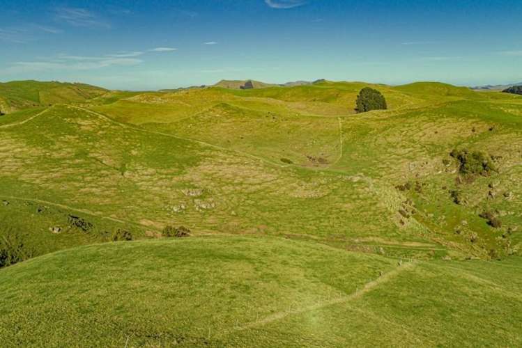 134 Bowen Road Eketahuna_10