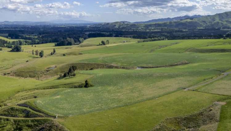 Burnetts Road Masterton_5