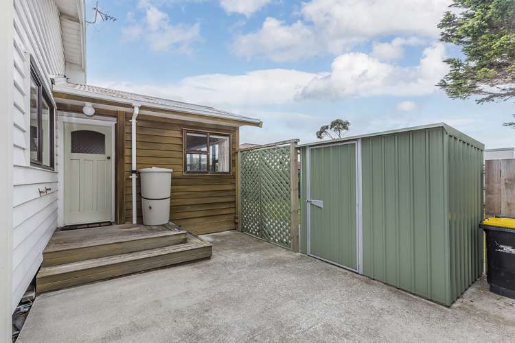 77 Devonshire Road Miramar_13