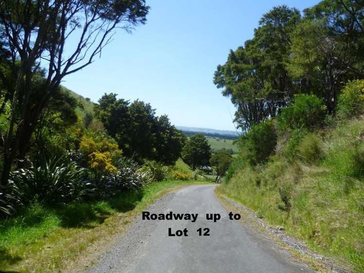 115 Chester Park Road Carterton_15