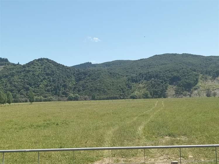 Puhunga Road Waipiro_12