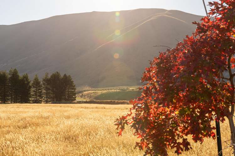 160D Manuka Terrace_5