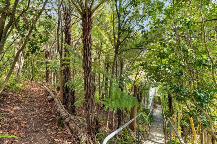 42 Braemar Road Castor Bay_21
