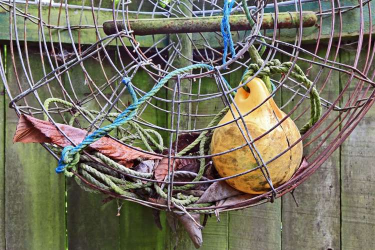 66 Gillies Crescent Waimarama_18