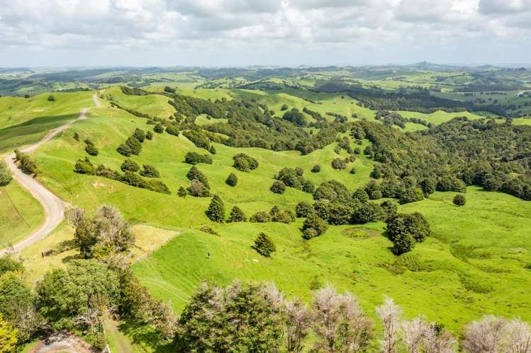 Mangarata Block Road (62.11 ha) Tangiteroria_5