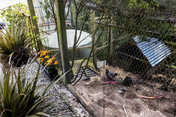 34 Watkins Street Purakaunui_14