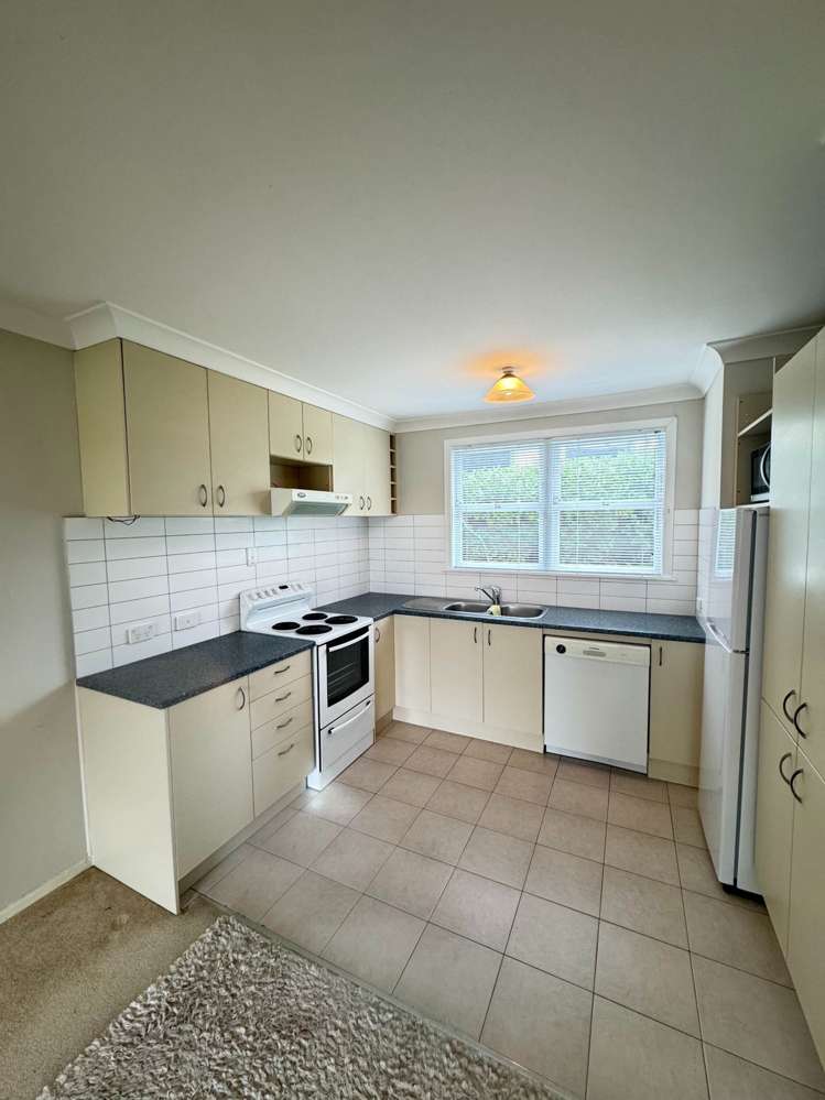 22O Aratonga Avenue Greenlane_9