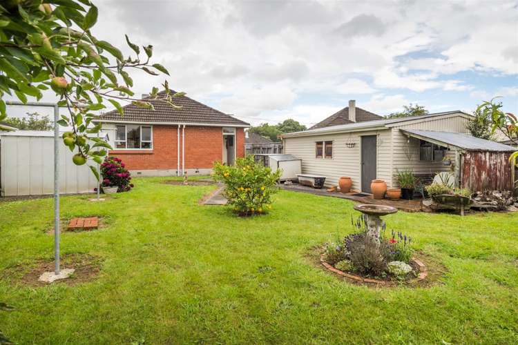 27 Holland Crescent Bulls_28