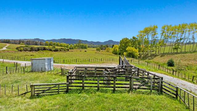 76 Wyllie Road Warkworth_2