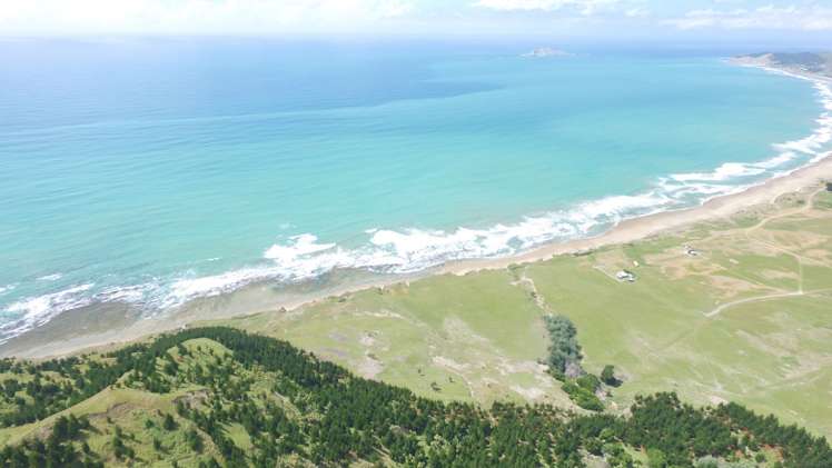 Waitangi Road Waimarama_8