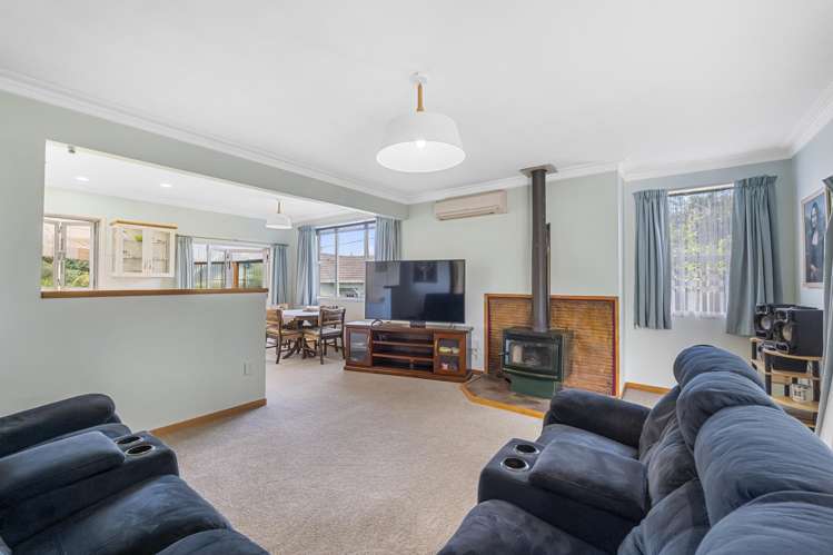 3 Brassey Street Waverley_11