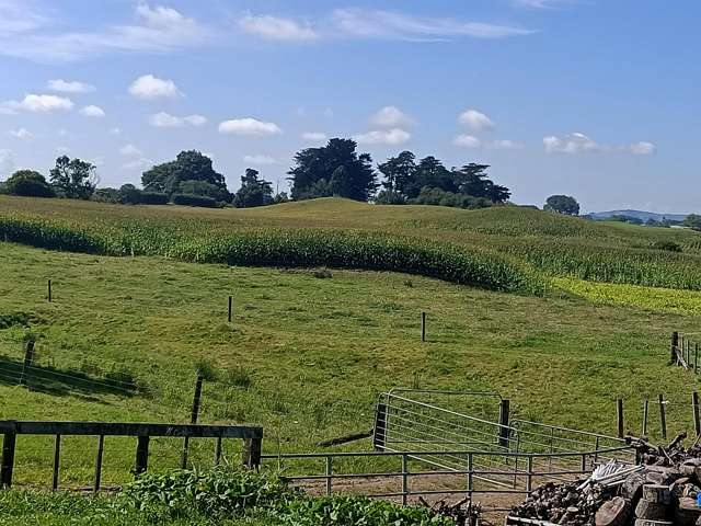 863 Tauhei Road Morrinsville_1