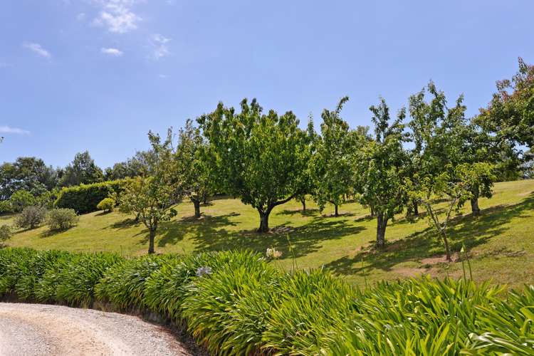 58 Lacebark Lane Upper Moutere_33