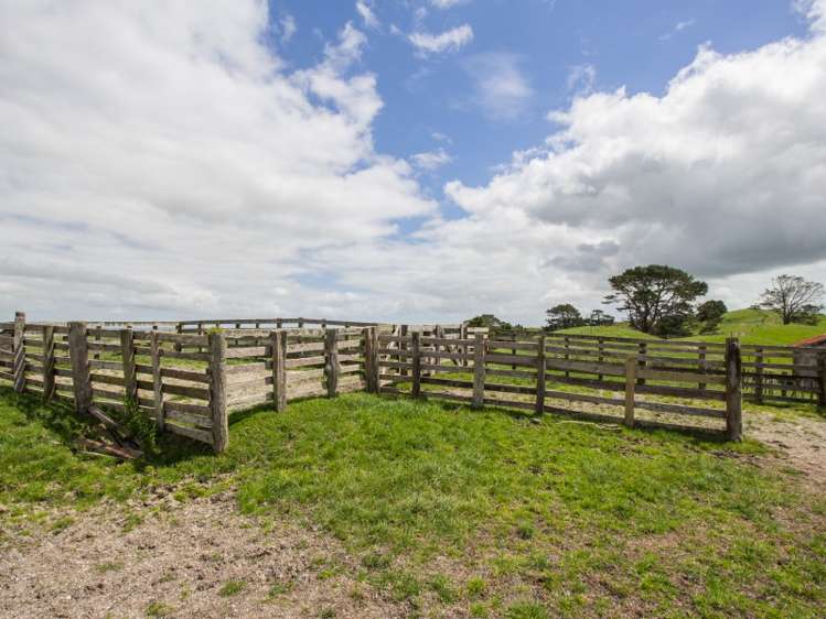 38 Birch Road Ruawai_5