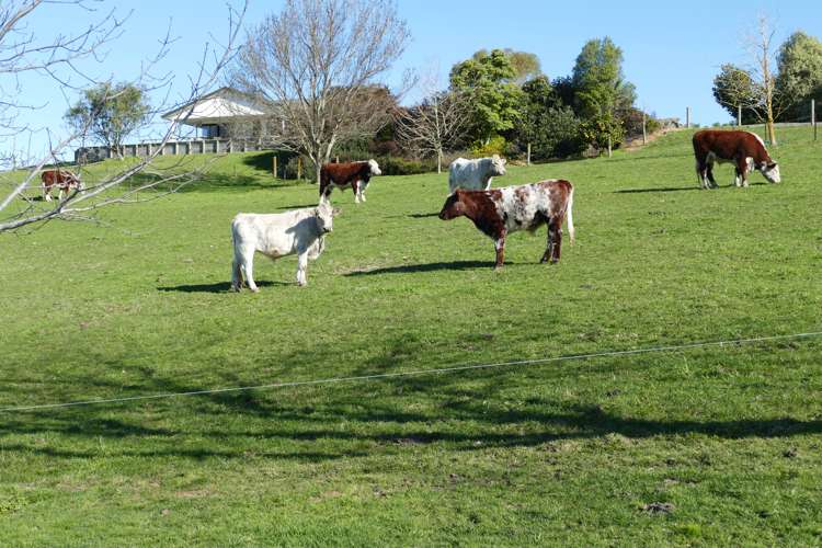 712 Matapiro Road Crownthorpe_18