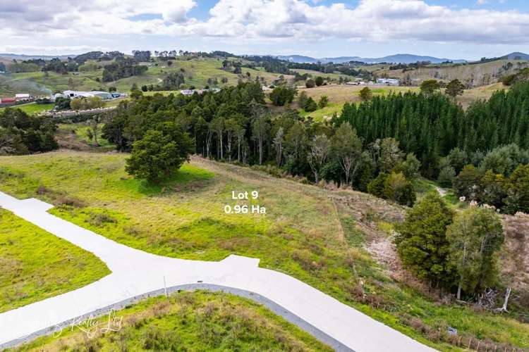 Whakapirau Road Maungaturoto_23