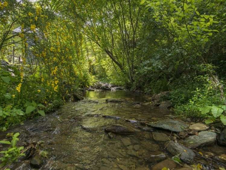 5 Thompson Place Anakiwa and Surrounds_12