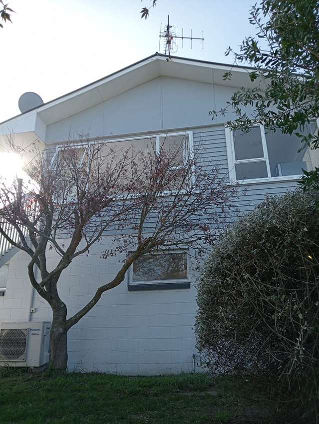 11 Argyll Road Greerton Tauranga Houses for Rent One Roof