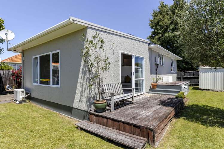 4 Raleigh Street Vogeltown_15