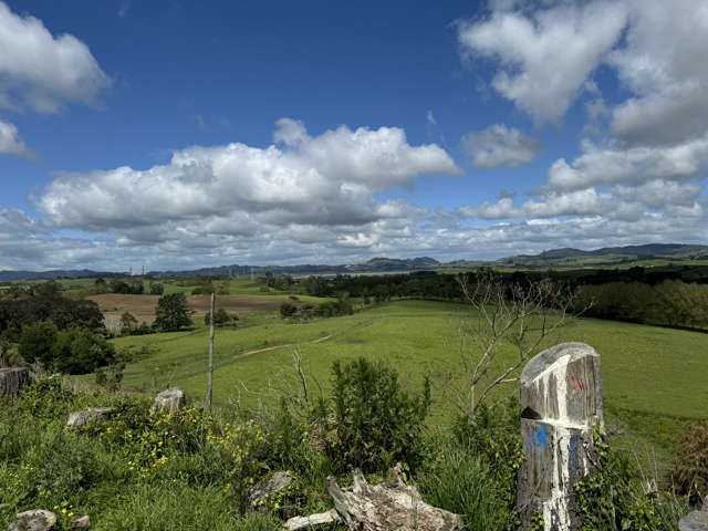 Hetherington Road and Waikokowai Roads Huntly_4