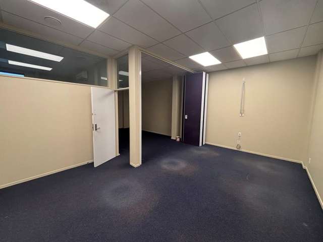 81 Austin Street Onekawa_3