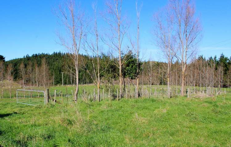 85 School Road Rangitikei Surrounds_7