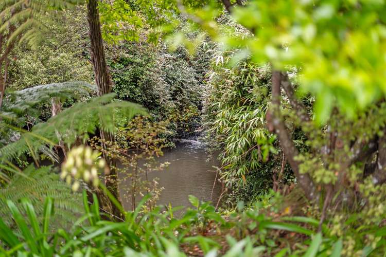 792 State Highway 1, Dome Valley Warkworth_8