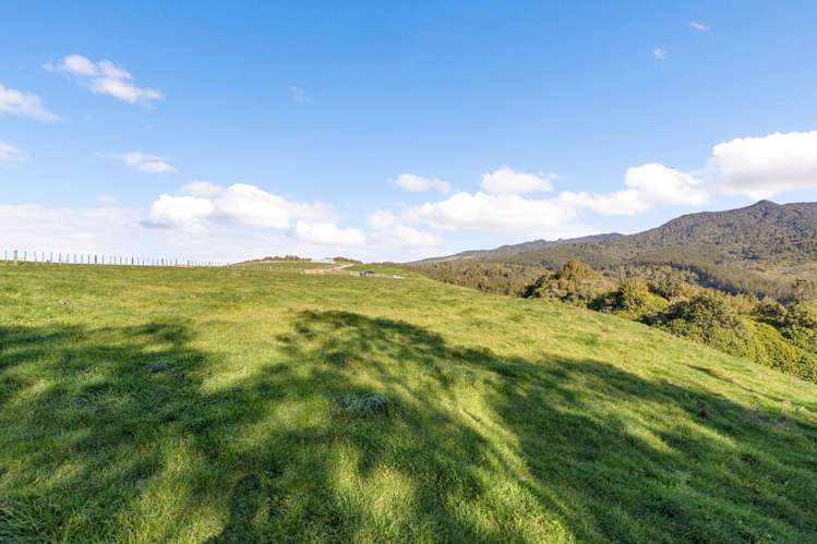 2/471 Sainsbury Road Pirongia_12