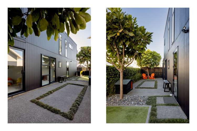 12b Tay Street Mount Maunganui_1