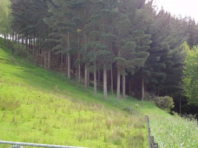 268 Druce Road Kumeroa_6