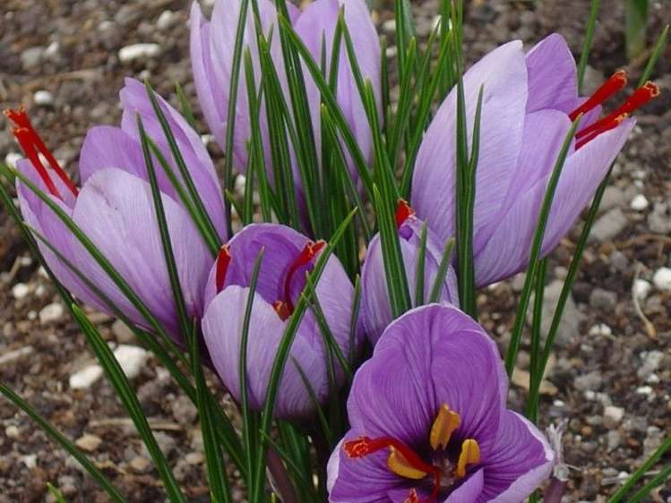 140 Glendhu Road Motunau_15