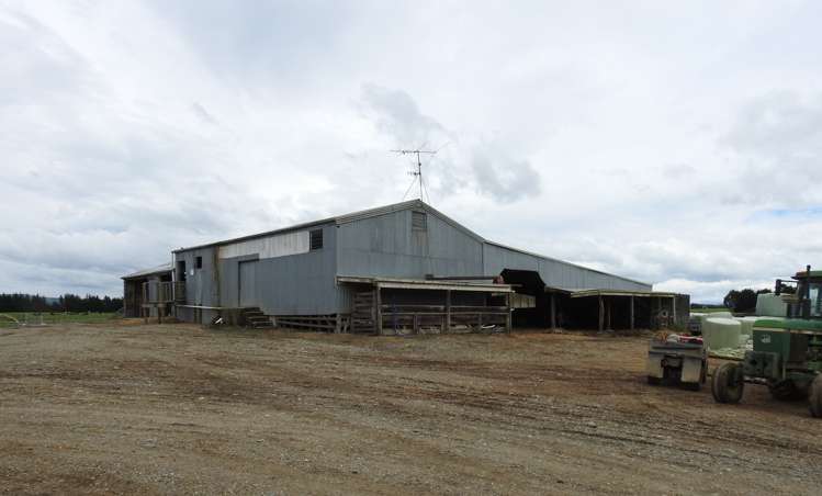 162 Longridge Village Road Gore Surrounds_11