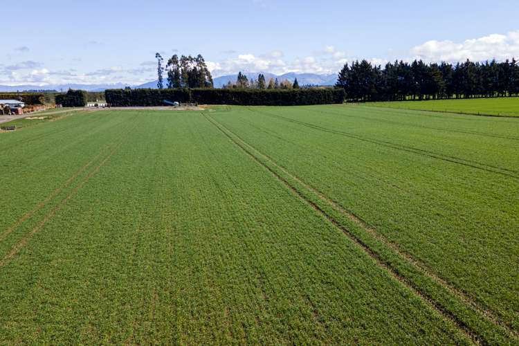 319 Methven Chertsey Road Methven_24