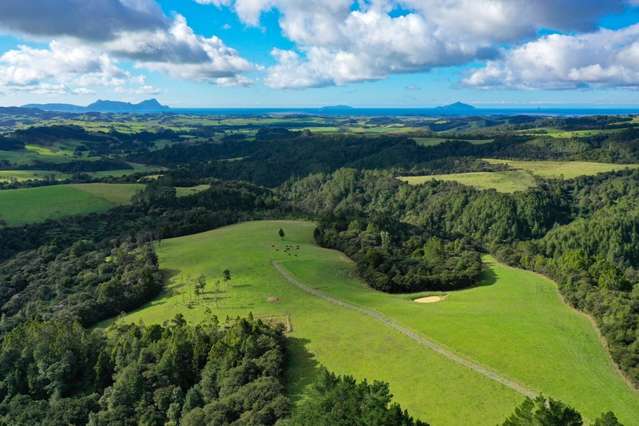 105 Mcadam Road Waipu_2