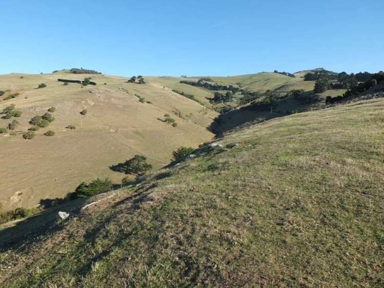 831 Chorlton Road Little Akaloa_7