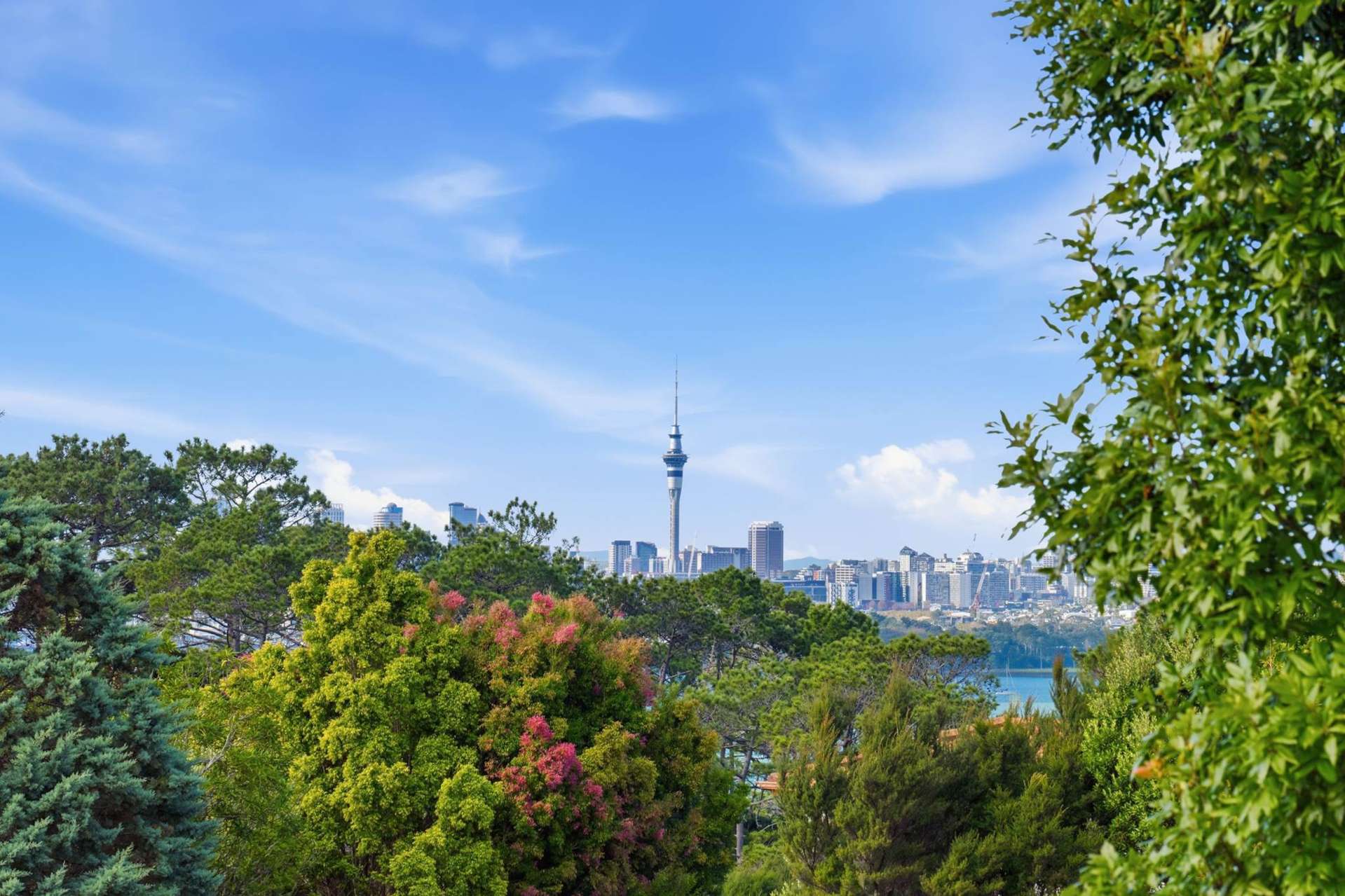 116 Onetaunga Road Chatswood_0