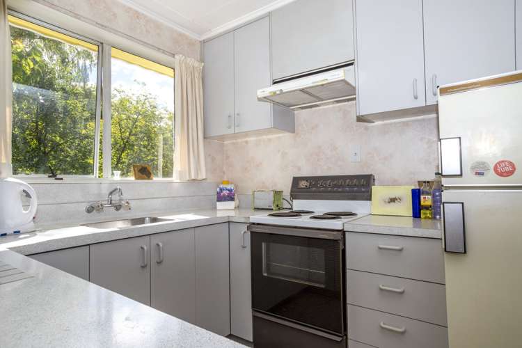 46 Adamson Drive Arrowtown_5