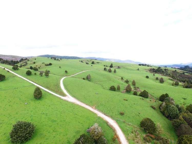 684 Trounson Park Road Dargaville Surrounds_5