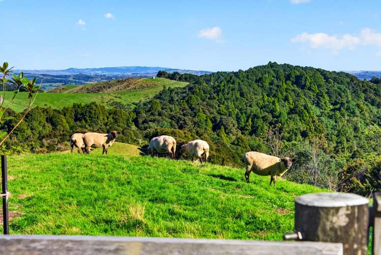 115 Sonja Drive Hunua_9