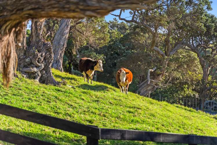 39A Landowners Lane Tutukaka_3