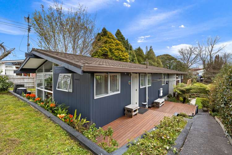 19a Lidcombe Place Avondale_4