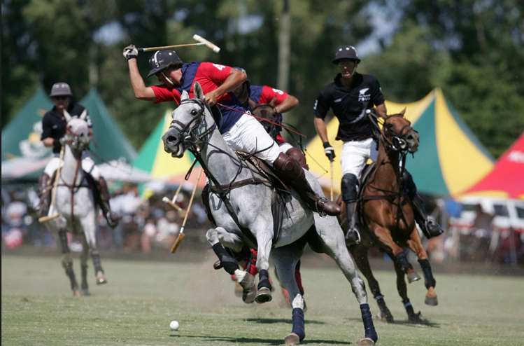 29 Bryce Street Kihikihi_5