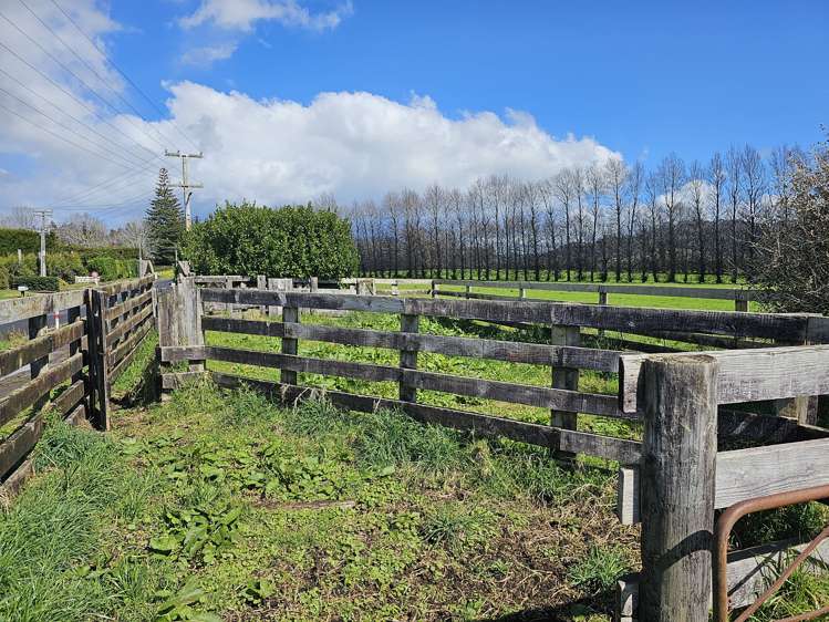 134a Athenree Road Athenree_10