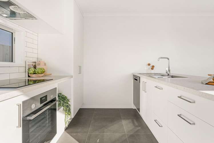 Riapeti Rise Puna Rua_10