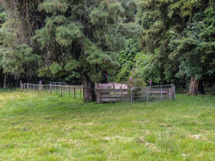 52 Rae Road Geraldine_24