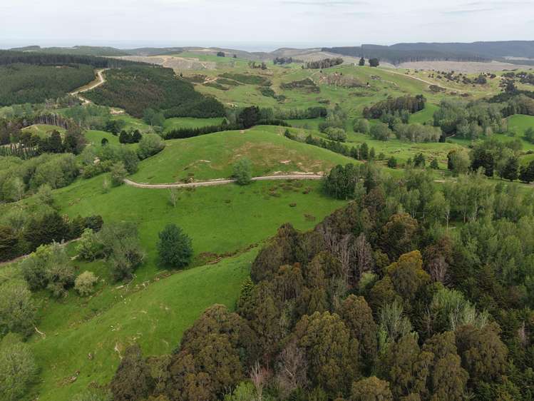 66 Otokia-Kuri Bush Road West Henley_11