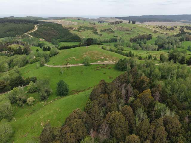 Otokia-Kuri Bush Road West Henley_4