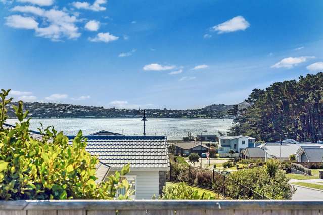 16 Ken Douglas Drive Aotea_1