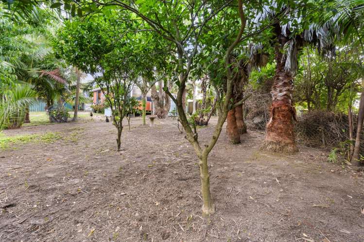 14 Mcleod Road Henderson_17